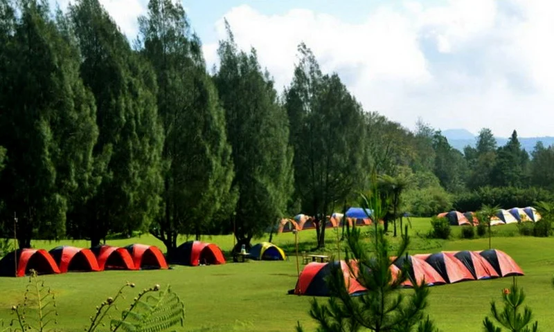 Destinasi Wisata Camping di Hutan Pinus Cibodas – Panduan Lengkap