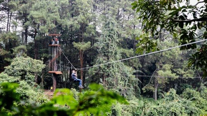 Destinasi Wisata Zipline di Bogor: Sensasi Terbang di Atas Hijau