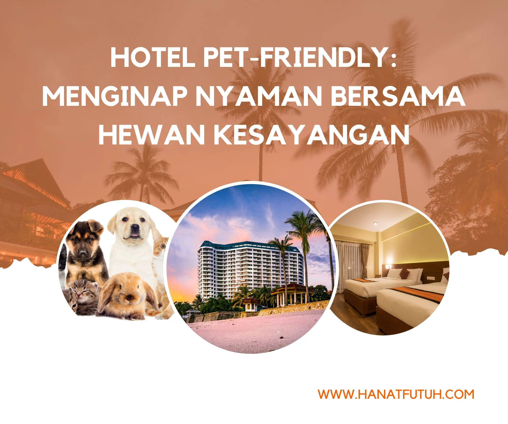 Hotel Budget yang Menerima Hewan Peliharaan: Pilihan Hemat & Nyaman