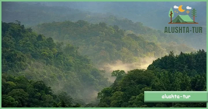 Panduan Transportasi untuk Wisata Alam di Sumatera Utara