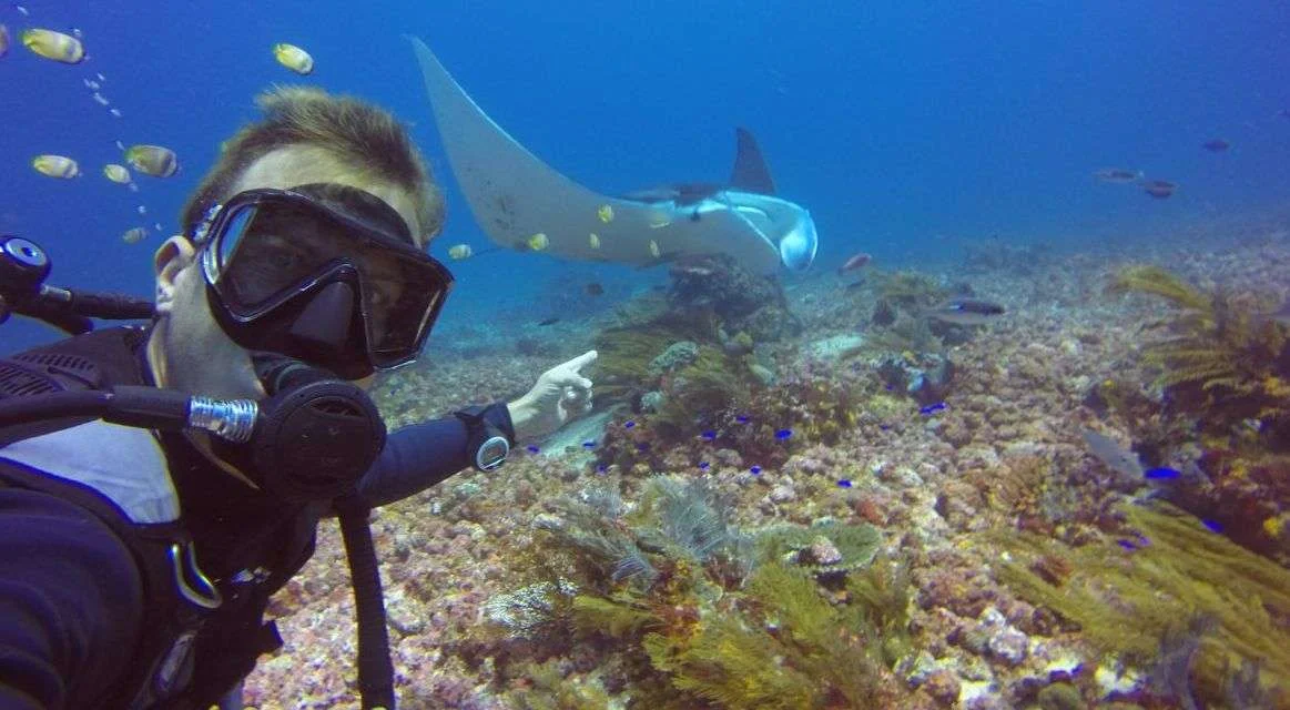 Pengalaman scuba diving di Pulau Komodo: review operator – Panduan Lengkap