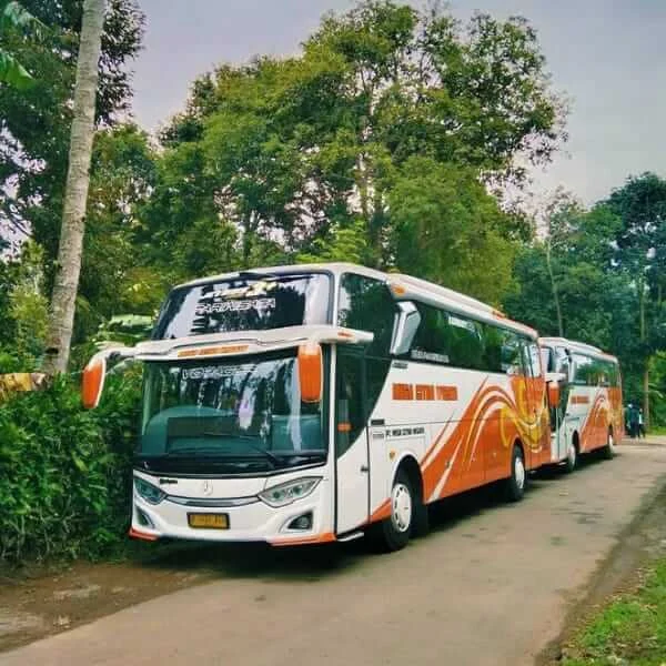 Rekomendasi Travel Bus dengan Fasilitas AC di Jawa Tengah – Pilihan Hemat & Nyaman