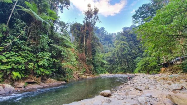 Review paket wisata adventure di Taman Nasional Gunung Leuser