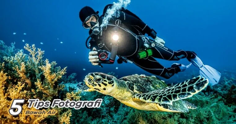 Tips Fotografi Bawah Air di Bunaken: Panduan Lengkap untuk Hasil Memukau