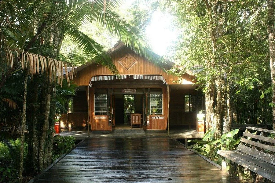 Wisata eco-tourism di Kalimantan: review lodge dan kegiatan